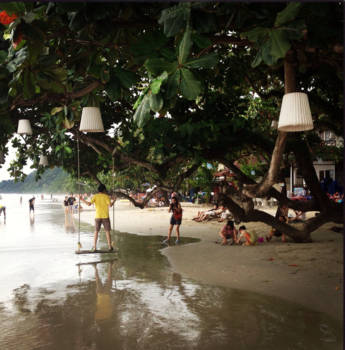 Thailand - Paradise by the treelights