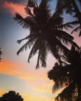 Sri Lanka - Sunset in paradise. Can you spot the moon?