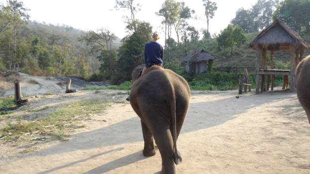 Thailand - Op de rug van een olifant