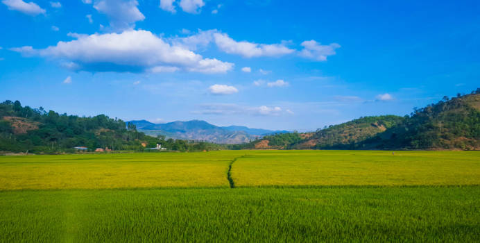 Vietnam - Middle of nowhere, Vietnam