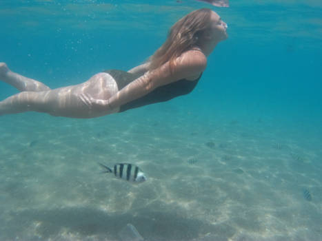 Thailand - Under the sea