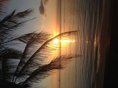 Koh Samui - The sun diving into the sea at Koh Samui !