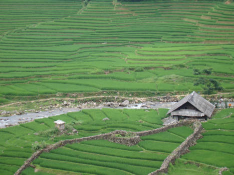 Sapa - Het prachtige landschap van Sapa