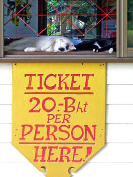 Ayutthaya - Slapend 'rijk' worden