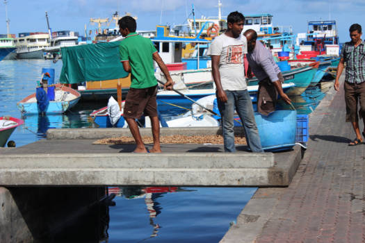 Malediven - Haven Male