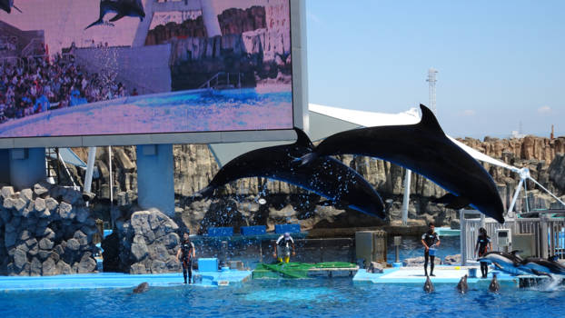 Japan - Port of Nagoya aquarium