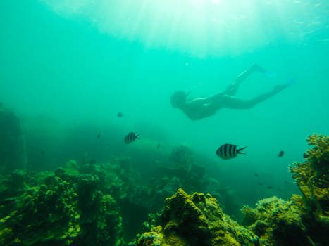 Koh Tao - snorkling in the beautifull Gulf of Thayland