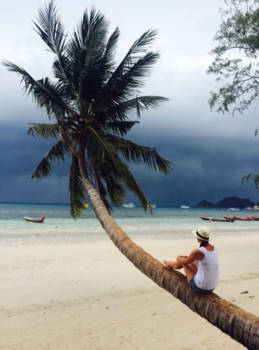 Koh Tao - A tree with a view