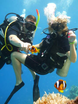 Thailand - We finding nemo!