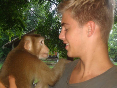 Thailand - Monkey love