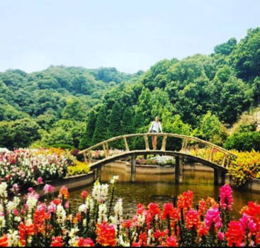 Chiang Mai - King garden