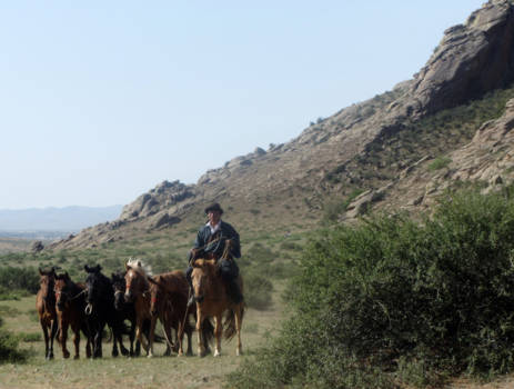 Mongolië - op komst