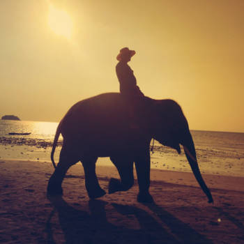 Koh Chang - A walk over the beach