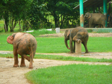 Thailand - Tegelijk de voetjes van de vloer!