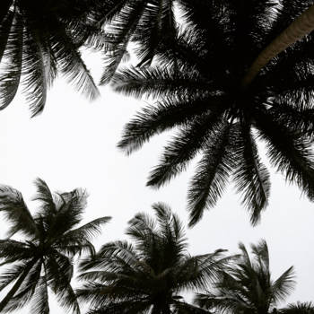 Koh Yao islands - May you never be too busy to stop & breathe under a palm tree