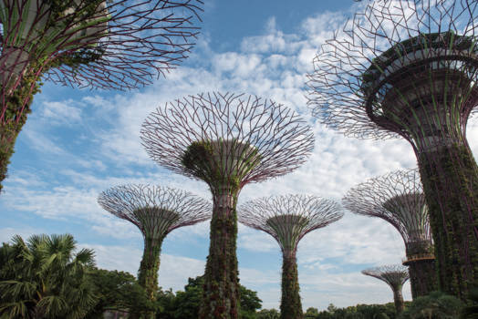 Singapore - Park in Singapore