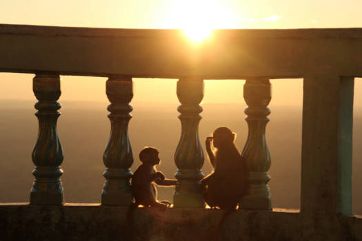 Myanmar - Zegt de een tegen de ander...