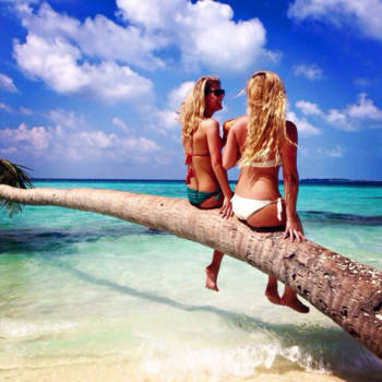 Malediven - Picture Perfect