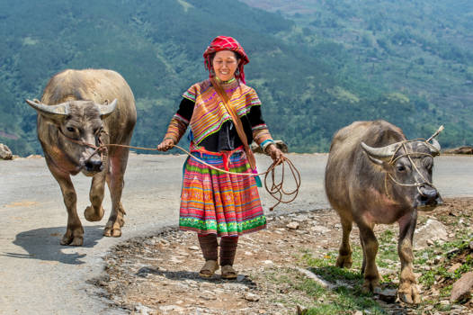 Vietnam - terug van de markt