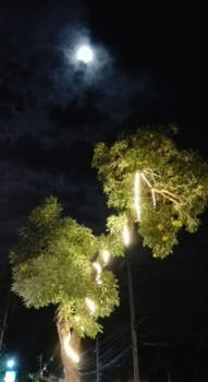 Koh Samui - Moonlight