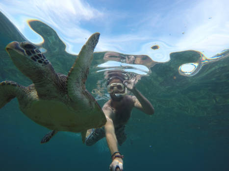 Tibet - Apo Island (Filipijnen)