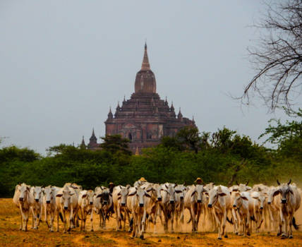 Bagan