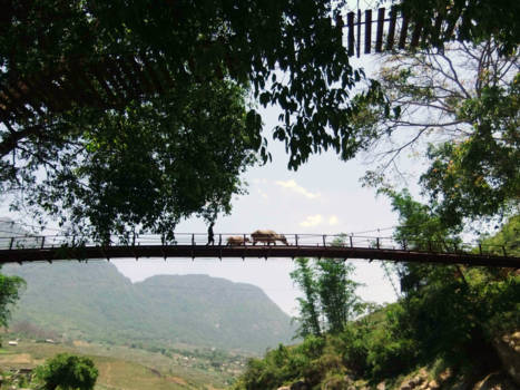 Sapa - Daily business