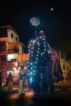 Sri Lanka - Uitbundig boeddhistisch festival, Kandy Esala Perahera, in Sri Lanka