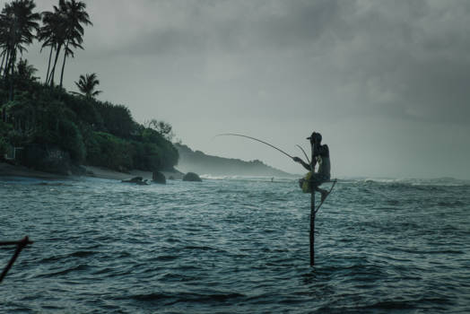 Sri Lanka - Paalvisser in Weligama