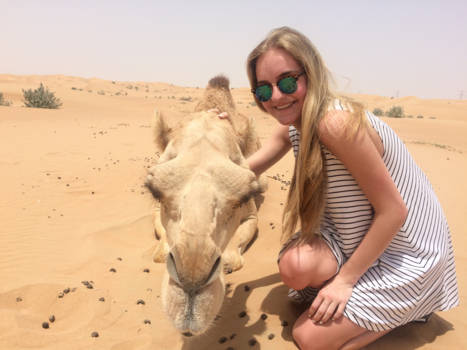Dubai - Making friends in the desert