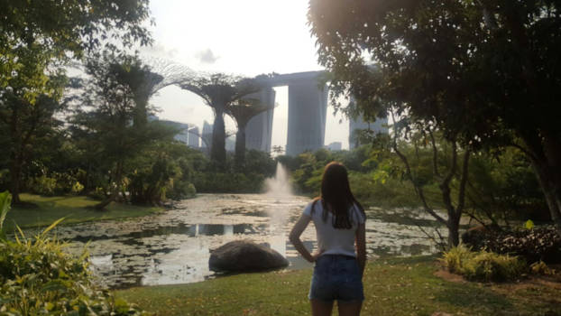 Singapore - Botanic gardens met mooie uitzichten.