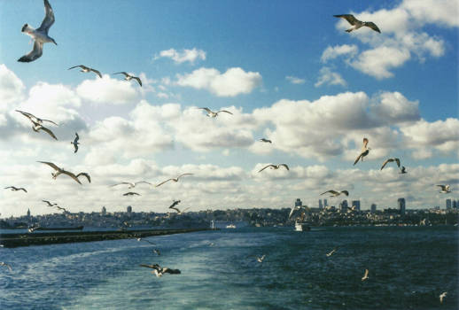 Istanbul - Istanbul (Turkey), 2012