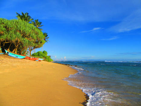 Sri Lanka - Paradise