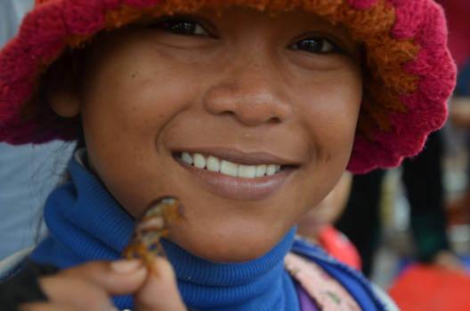 Cambodja - wil je een kakkerlak proeven?