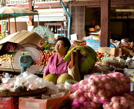 Mae Hong Son - Big fan of the fan