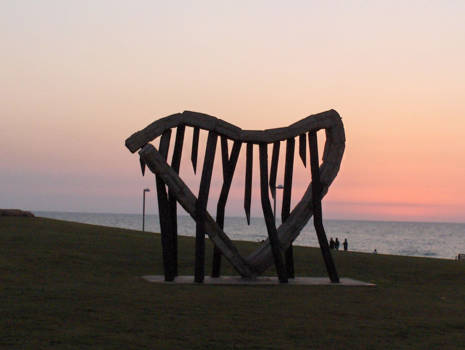 Tel Aviv en Jaffa - Liefde is alles wat nodig is