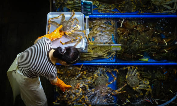 Zuid-Korea - Catch of the day