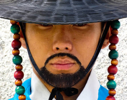 Zuid-Korea - Guard with fake beard