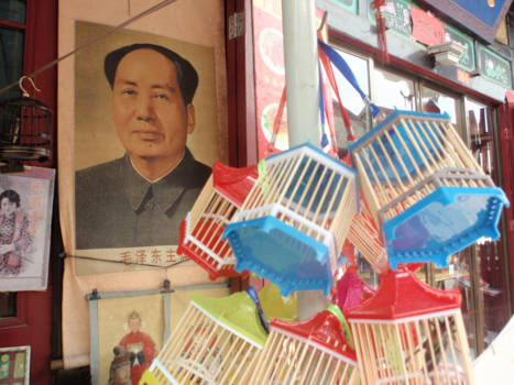 China - Jasmine en Bloesem reis china 2016