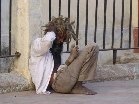 Little India - Gezien worden