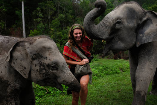 Chiang Mai - Happily being robbed of my bananas.