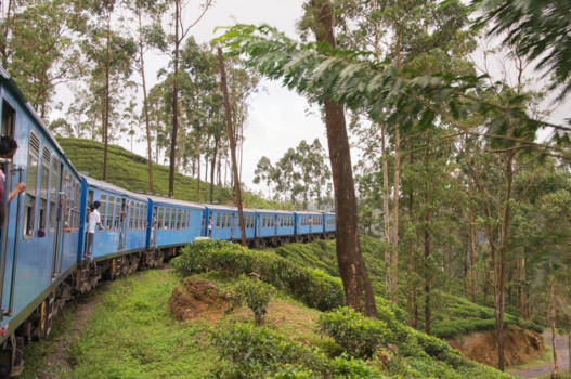 Sri Lanka - treinreis vanuit Kandy