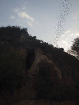 Cambodja - Batcave Battambang