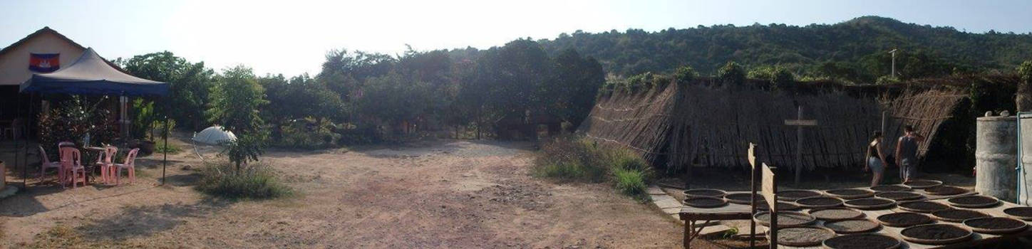 Cambodja - Peperboerderij Kampot