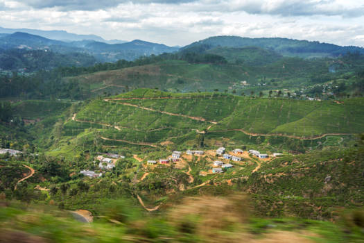 Sri Lanka - Treinrit door Sri lanka