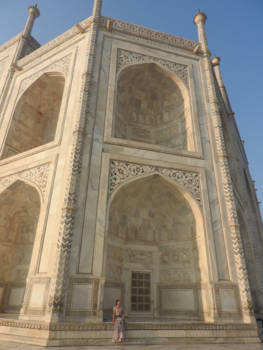 Taj Mahal - Marblelous Tai Mahal