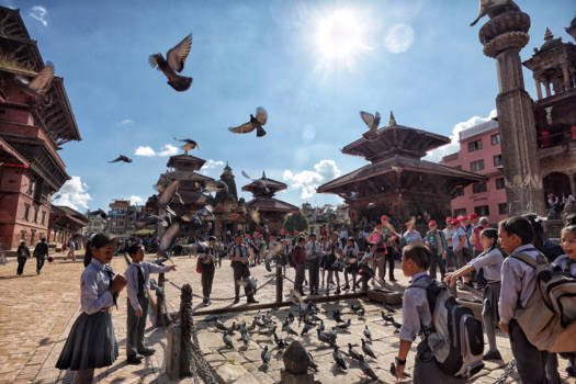 Nepal - Vogels voeren in Nepal