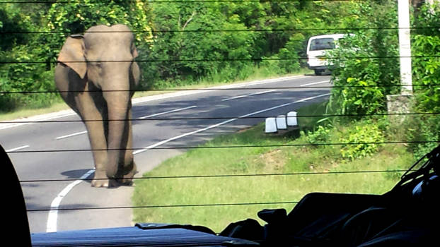 Sri Lanka - Verkeersexamen.....