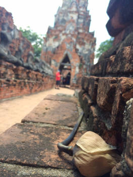 Thailand - Roos offering bij oude tempel
