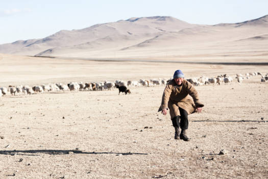 Mongolië - Zo blij als een Herder